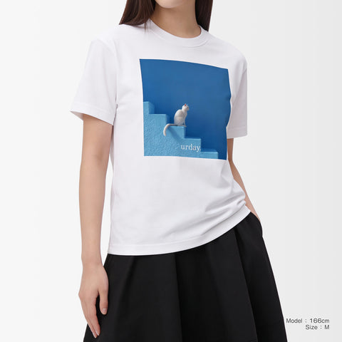 予約：urday【Animal／White Cat／B】フォトTシャツ（7949763）ホワイト/urday（マミアン）